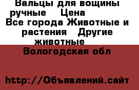Вальцы для вощины ручные  › Цена ­ 10 000 - Все города Животные и растения » Другие животные   . Вологодская обл.